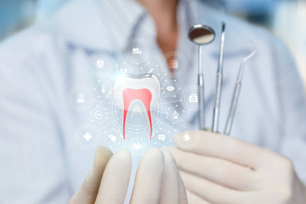 Best Emergency Dental Care  in South Creek, WA